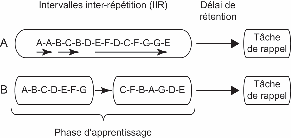 paradygme expérimental